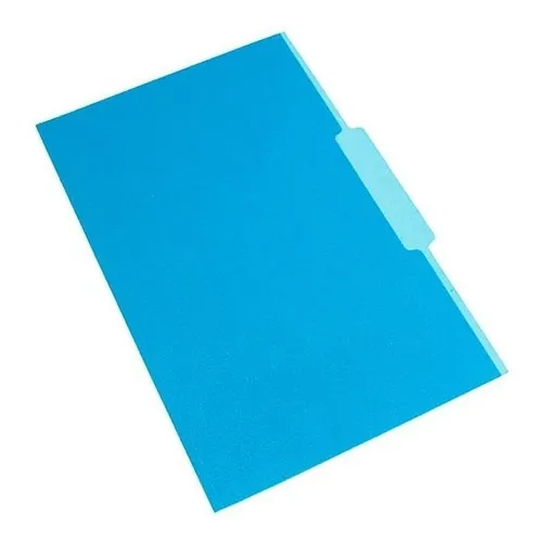 CARPETA NEPACO INTERNA CELESTE OFICIO