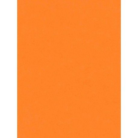 CARTULINA COLOR NARANJA 130 grs x 1 H