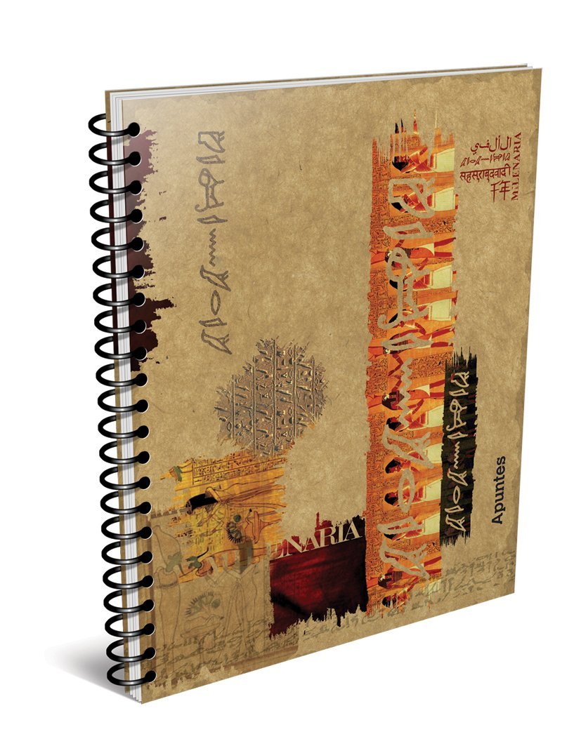 CUADERNO APUNTES MILENARIA ESPIRAL 29,7 80 HOJAS CUADRO