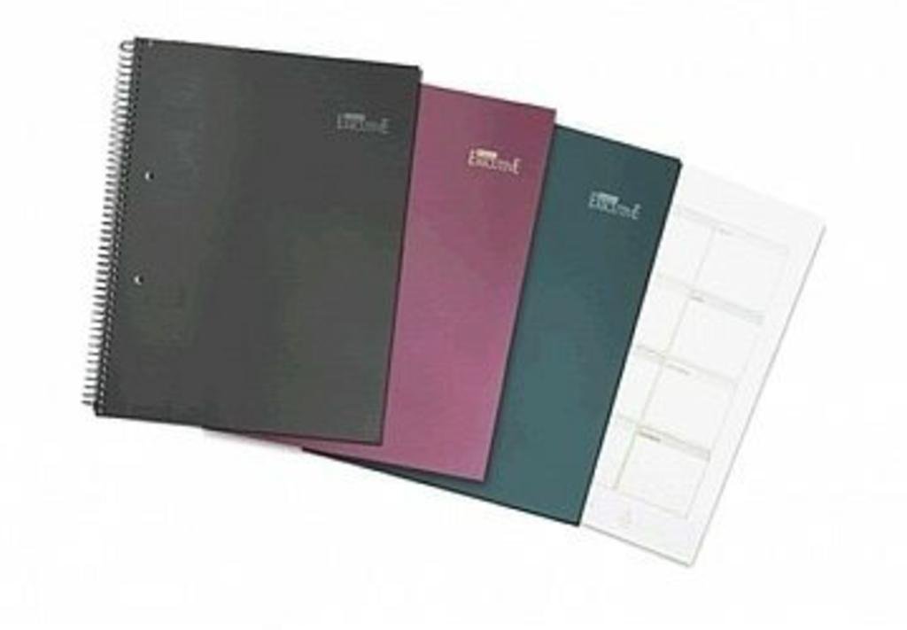 CUADERNO LEDESMA ESPIRAL 16X21 120 HOJAS EXECUTIVE CUADRO