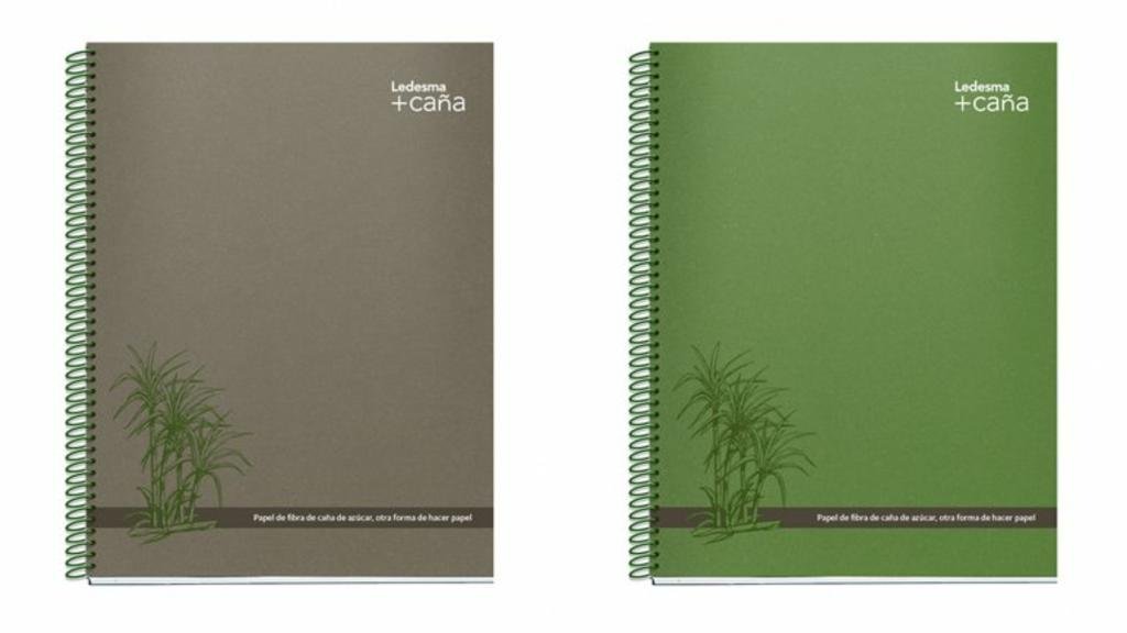 CUADERNO LEDESMA ESPIRAL 22×,29 84 HOJAS +CAÑA RAYADO