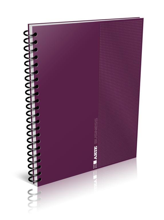 CUADERNO ARTE 29.7  80 HOJAS BUSINESS CUADRO