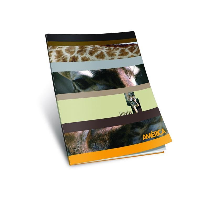 CUADERNO AMERICA TAPA FLEXIBLE 24 HOJAS LISO