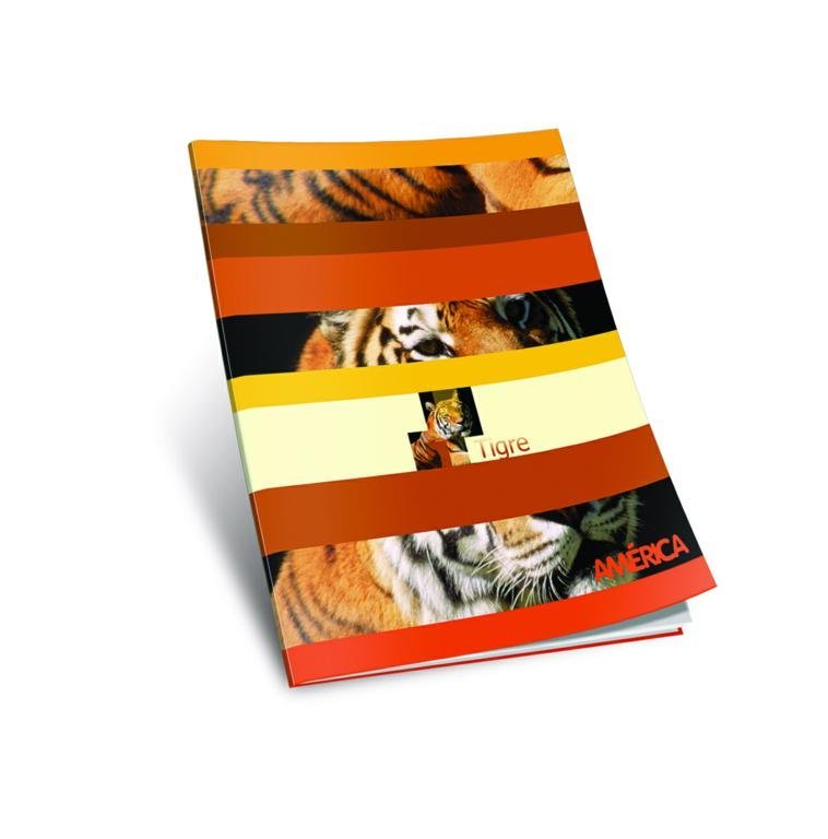CUADERNO AMERICA TAPA FLEXIBLE 48 HOJAS RAYA