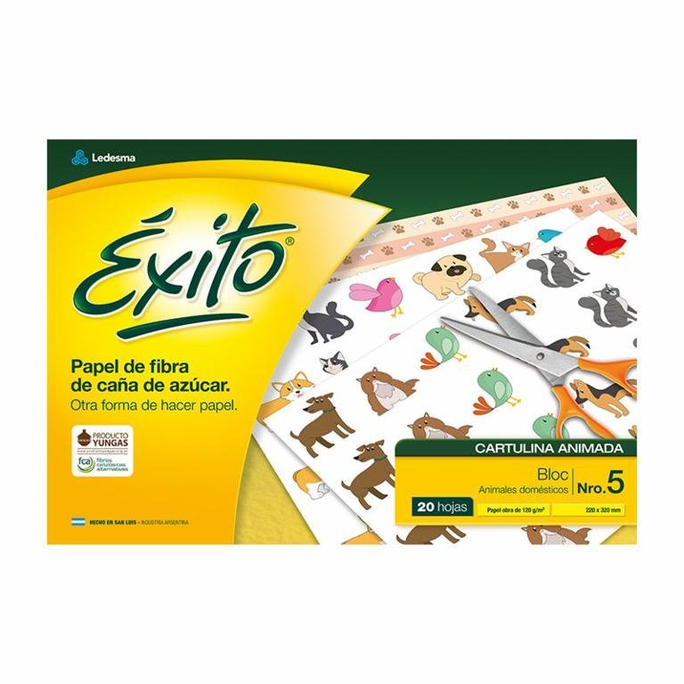 BLOCK EXITO DIBUJO ANIMADA Nº 5 x 20 HOJAS