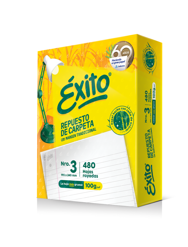 REPUESTO EXITO x 480 HOJAS RAYA