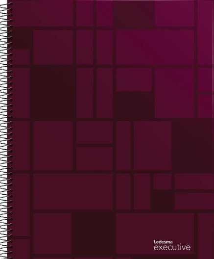 CUADERNO LEDESMA ESPIRAL 22×,29 84 H EXECUTIVE BORDO CUADRO