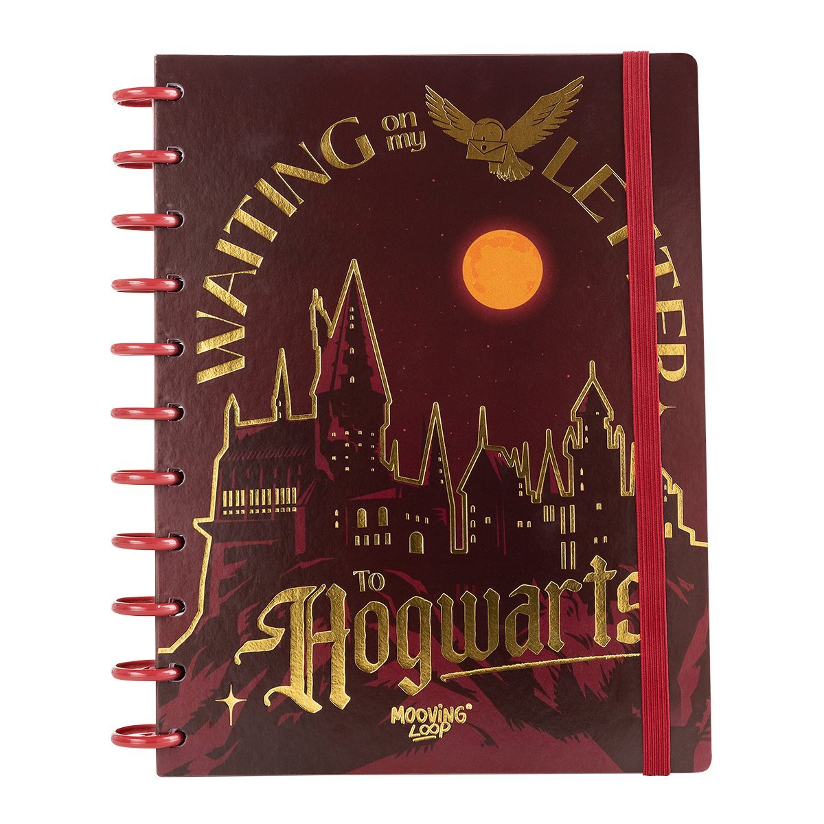 CUADERNO MOOVING LOOP A DISCOS CARTA HARRY POTTER     1711222
