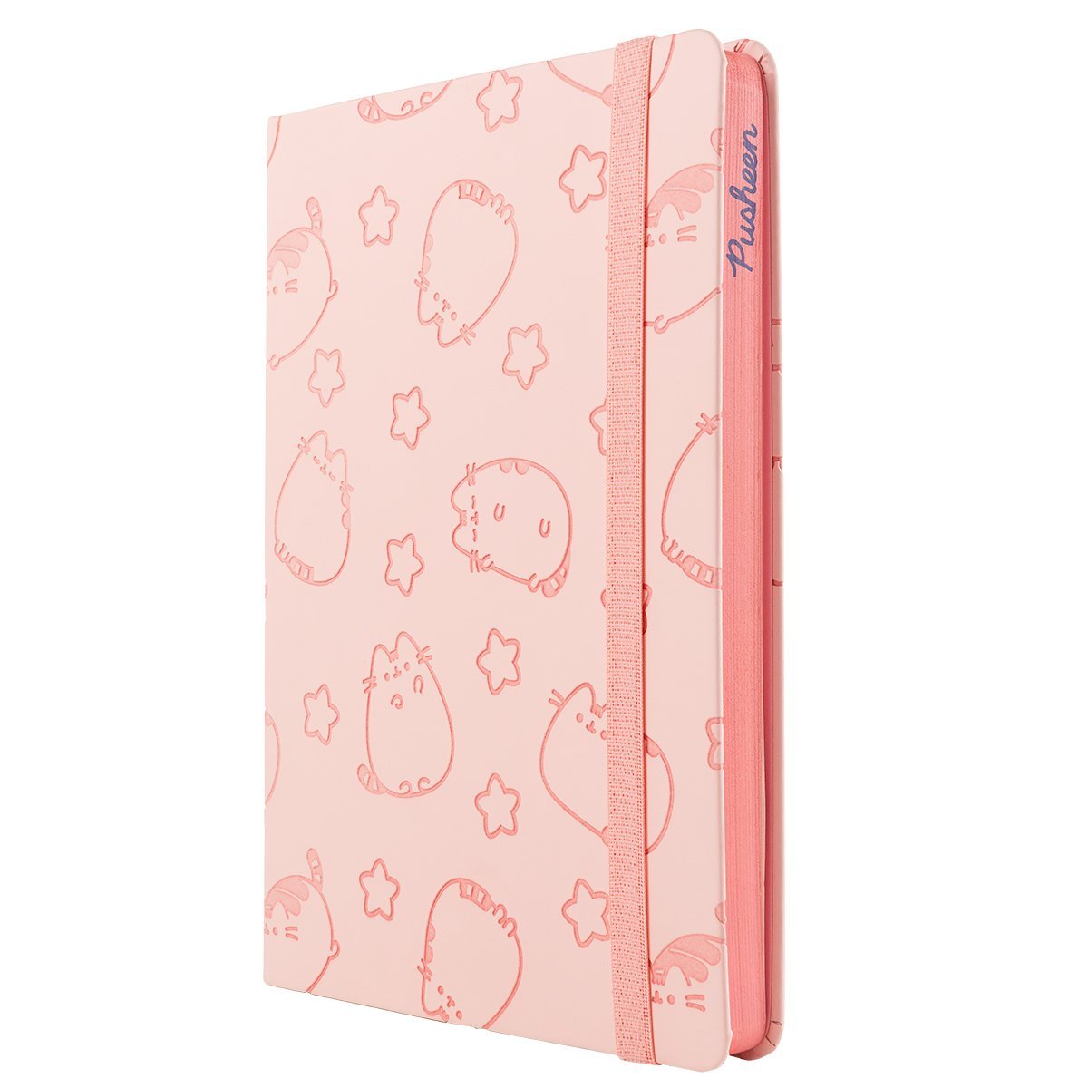 LIBRETA MOOVING NOTES A5 PUSHEEN RAYADO    1246207