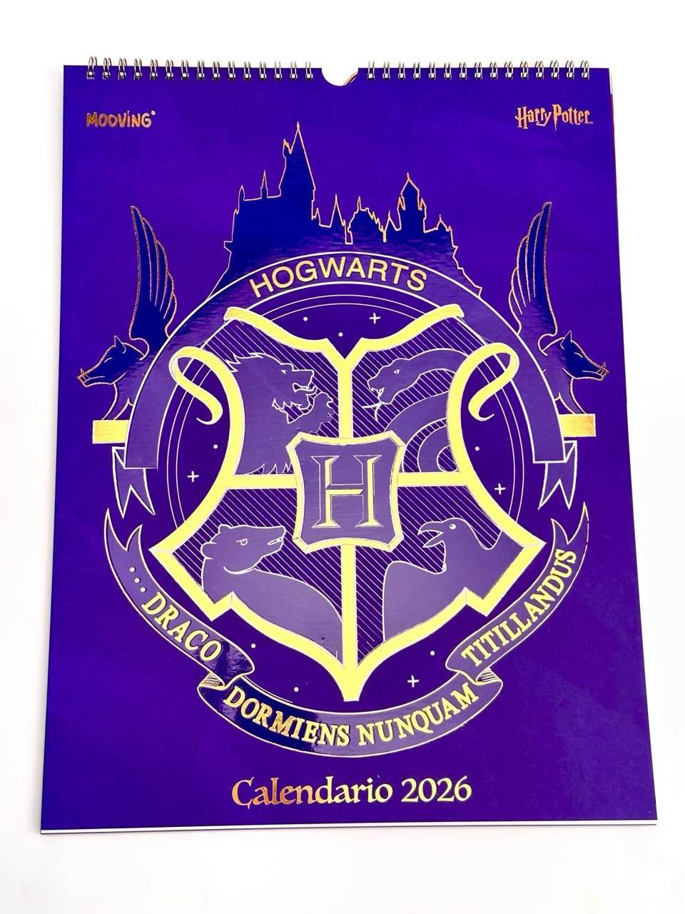CALENDARIO MOOVING 30×,40 HARRY POTTER    1419222