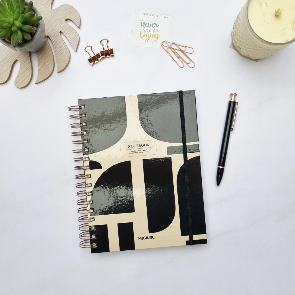 AGENDA 2026 IMAGINER GOLD N°8 S.VISTA ESPIRAL ELEGANT  723