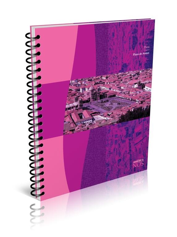 CUADERNO AMERICA ESPIRAL 29.7 80 HOJAS CUADRO