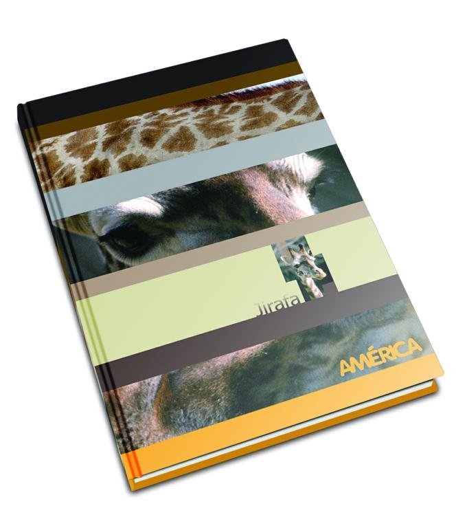 CUADERNO AMERICA TAPA DURA  42 HOJAS CUADRO