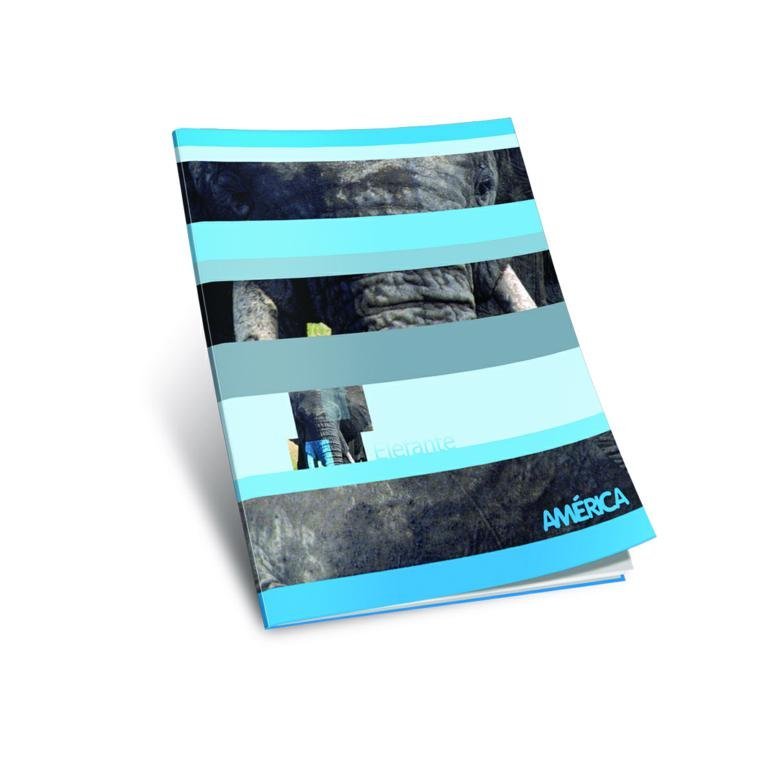 CUADERNO AMERICA TAPA FLEXIBLE 48 HOJAS LISO