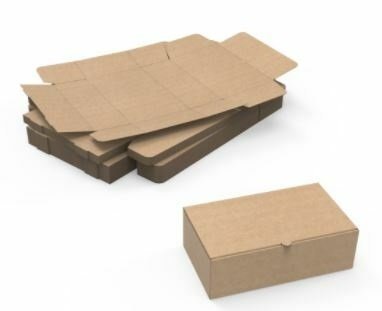 CAJA DELIVERY GRANDE 25x17x9             CTADG025