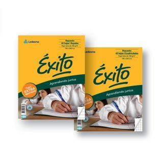 REPUESTO EXITO x  48 HOJAS RAYA