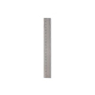 REGLA PIZZINI ESCUELITA 20 CM MOLD  1702